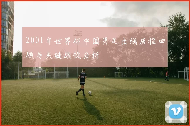 2001年世界杯中国男足出线历程回顾与关键战役分析