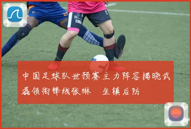 中国足球队世预赛主力阵容揭晓武磊领衔锋线张琳芃坐镇后防